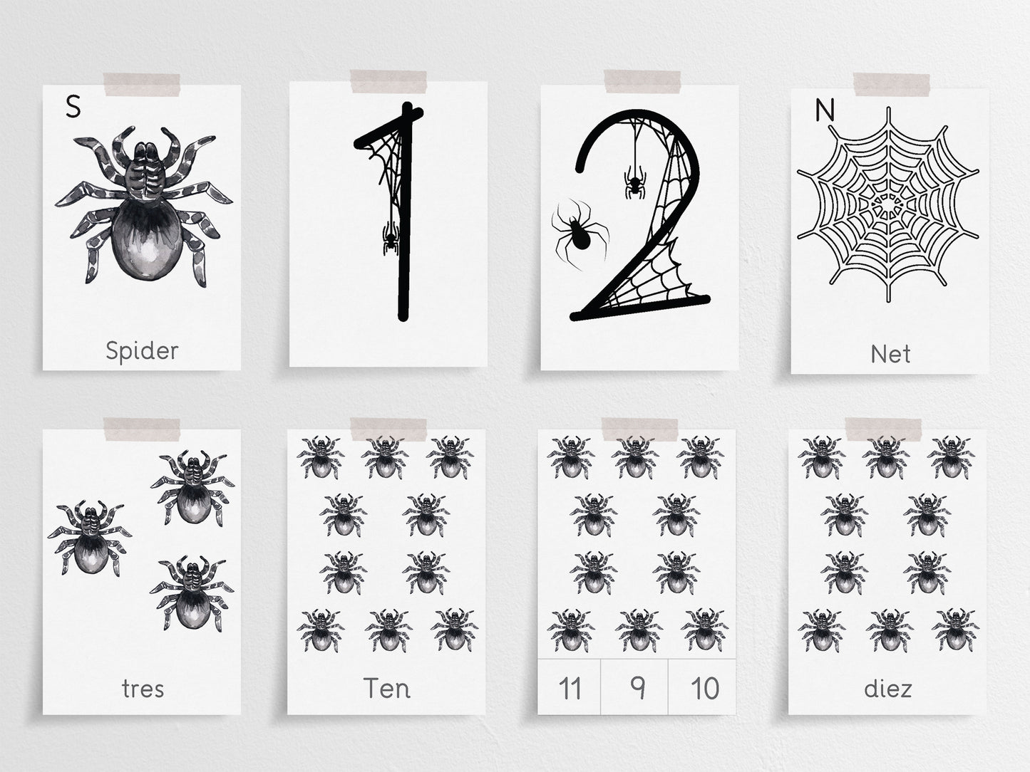 Spiders activity pack Tacucokids