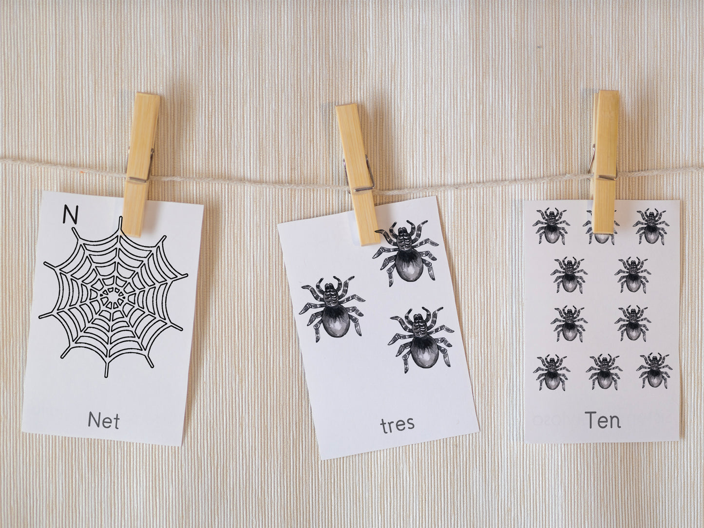 Spiders activity pack Tacucokids