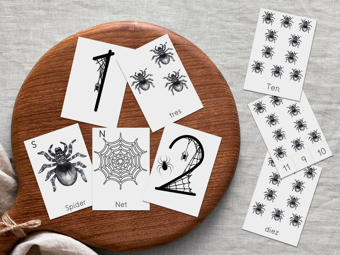 Spiders activity pack Tacucokids