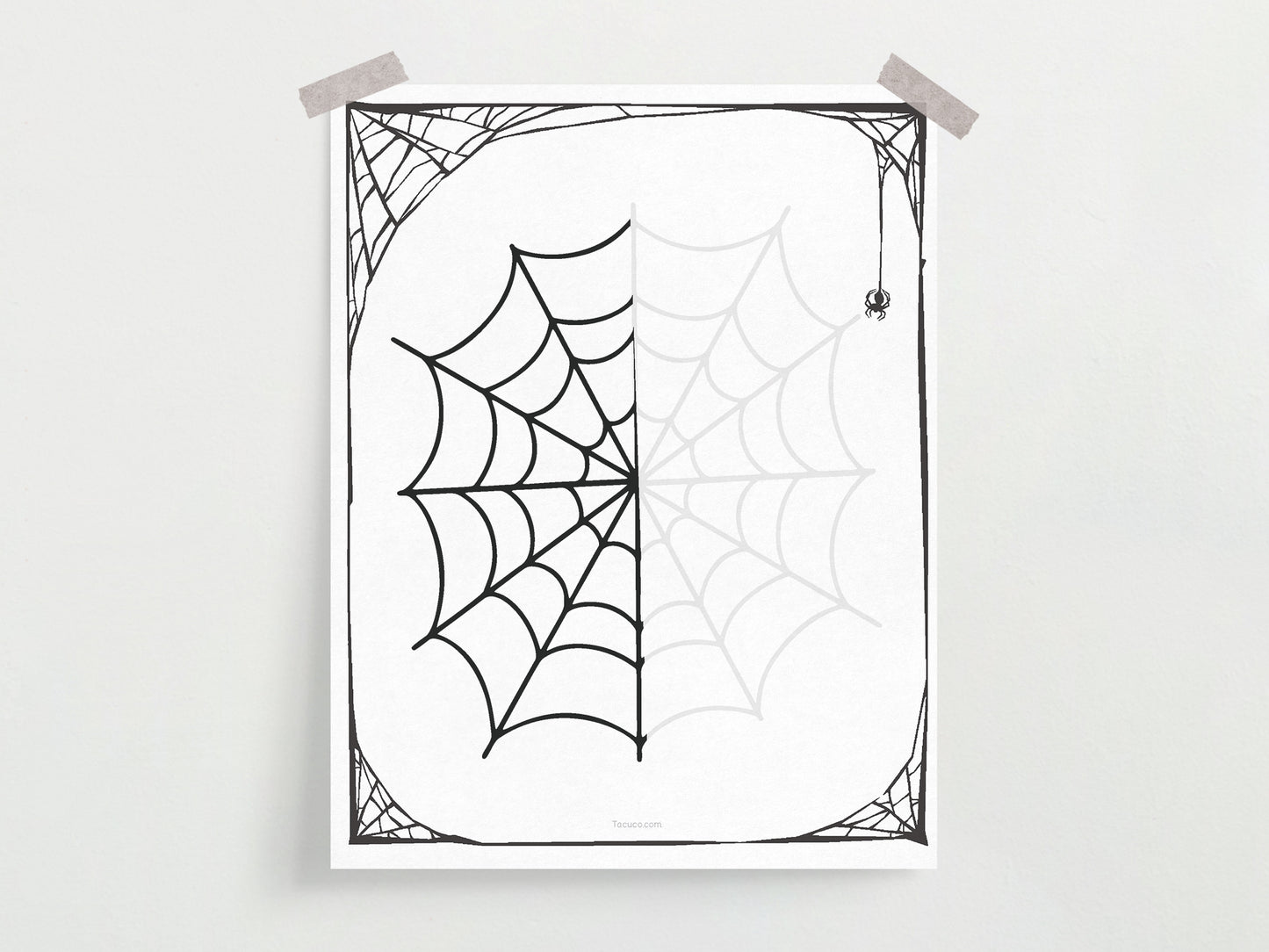 Spiders activity pack Tacucokids