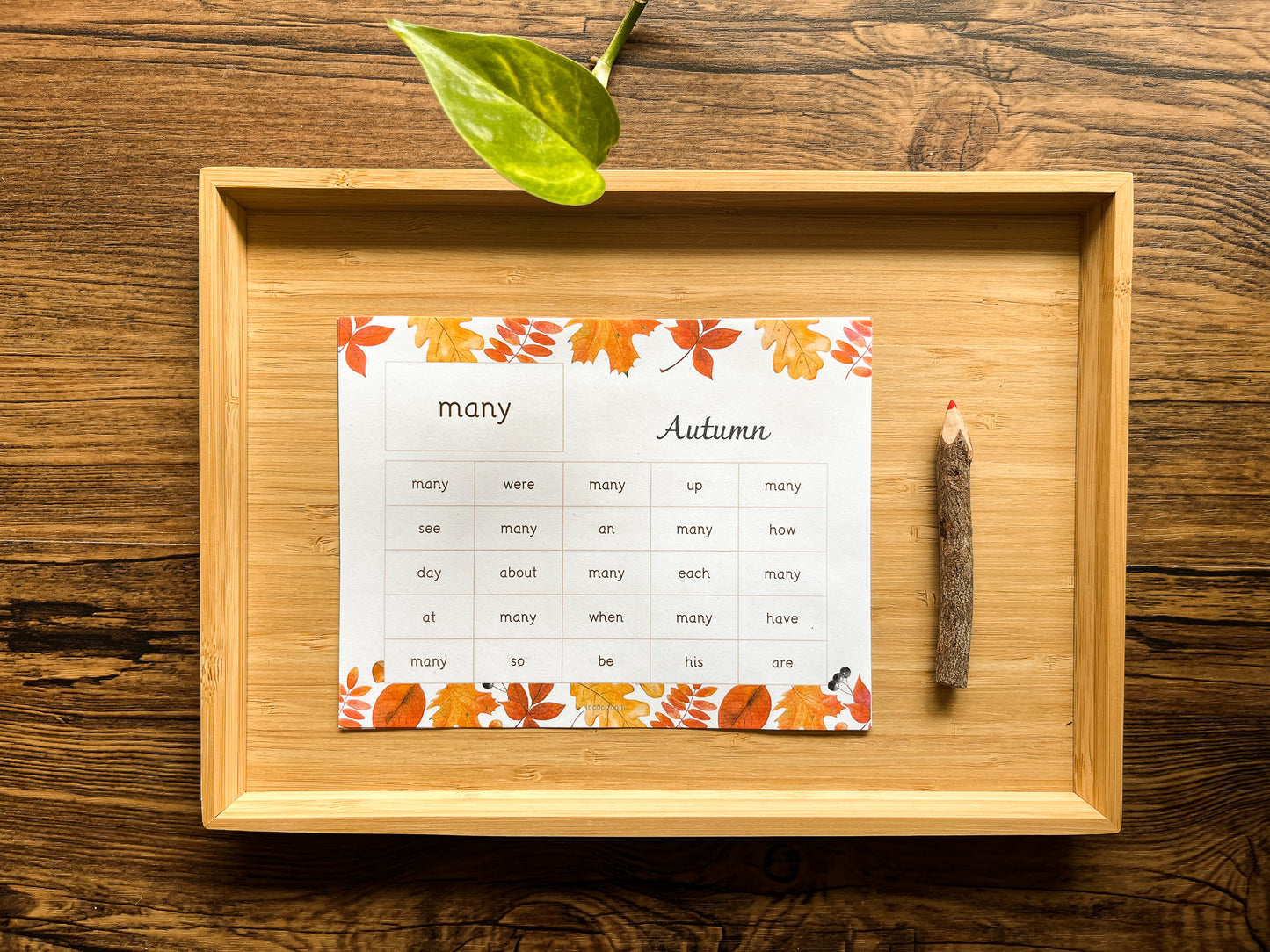 Autumn activity pack