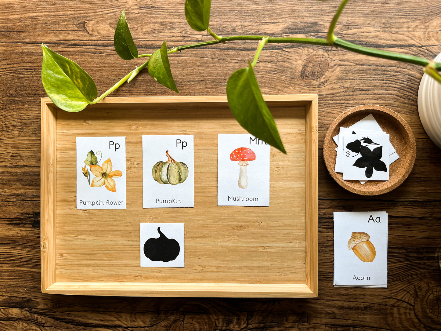 Autumn activity pack