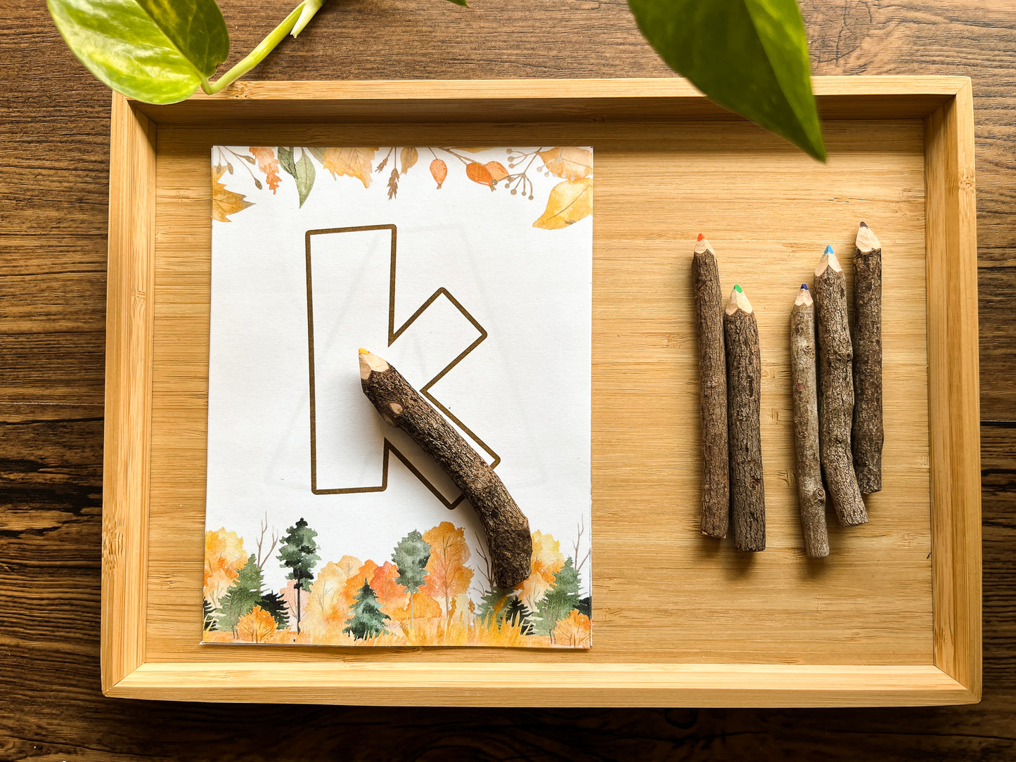 Autumn activity pack