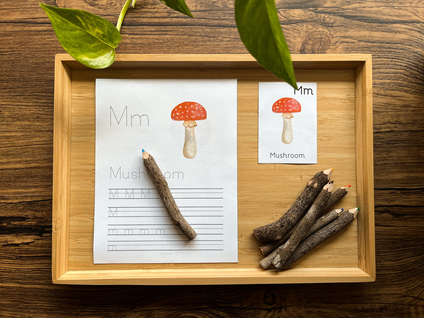 Autumn activity pack