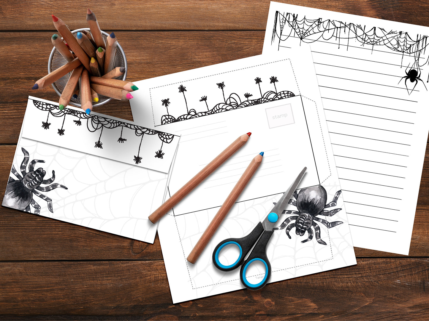 Spiders activity pack Tacucokids