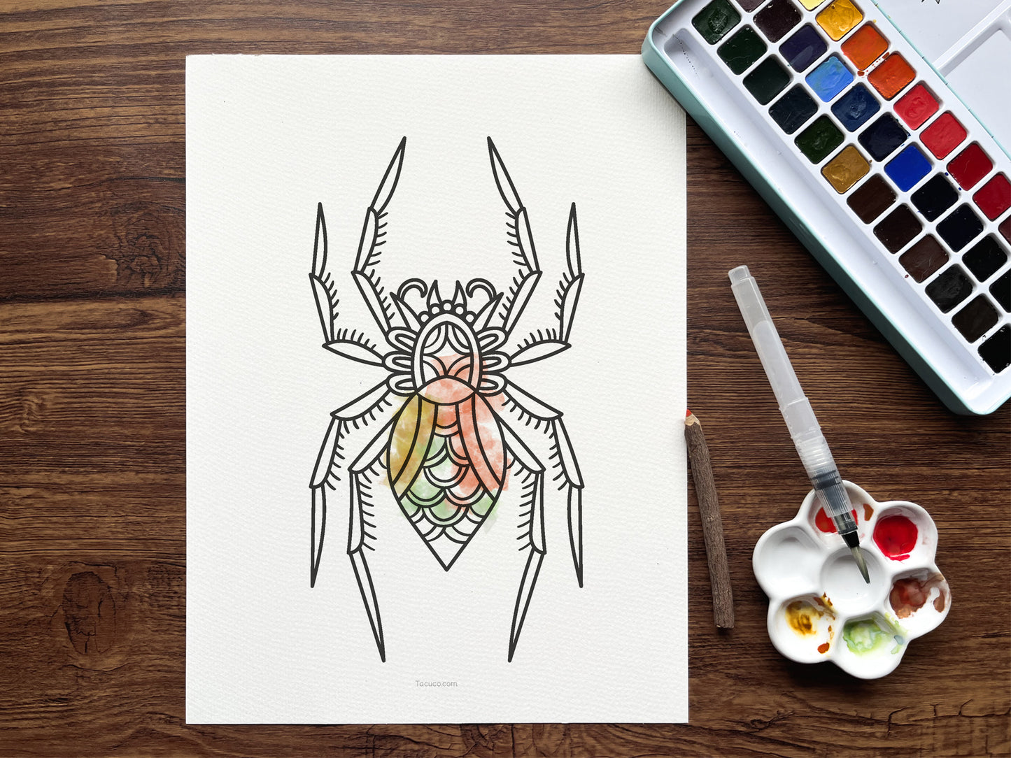 Spiders activity pack Tacucokids