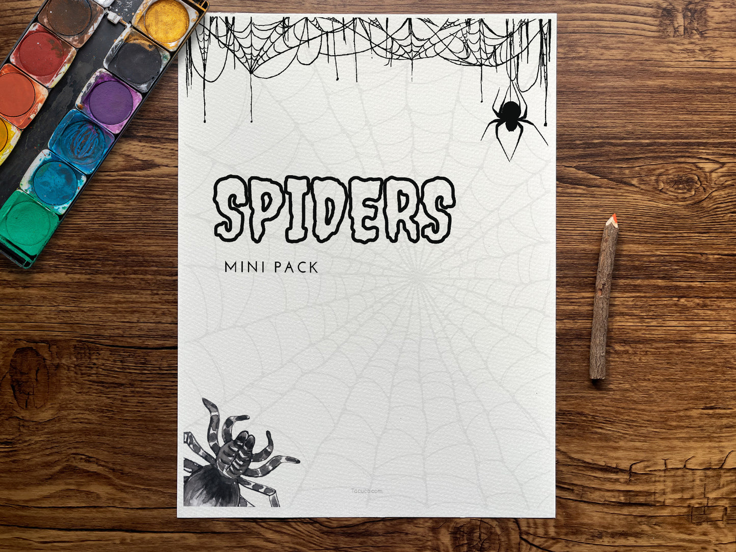 Spiders activity pack Tacucokids