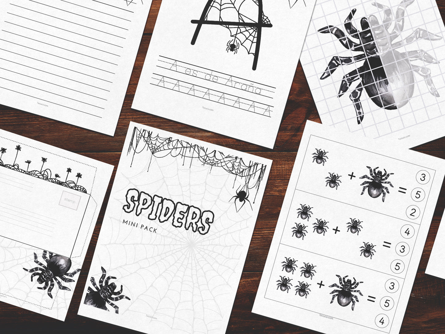 Spiders activity pack Tacucokids