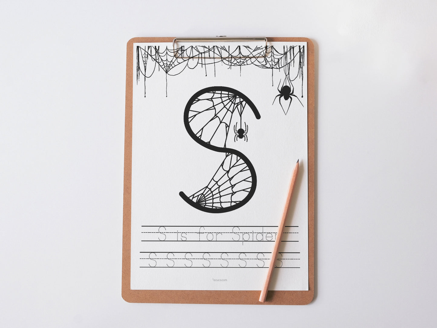 Spiders activity pack Tacucokids