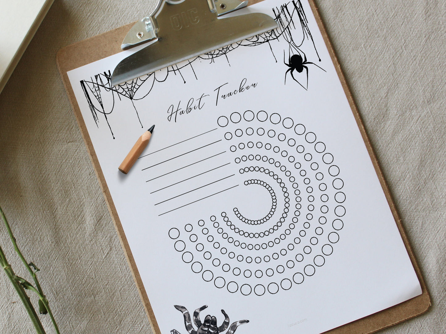 Spiders activity pack Tacucokids