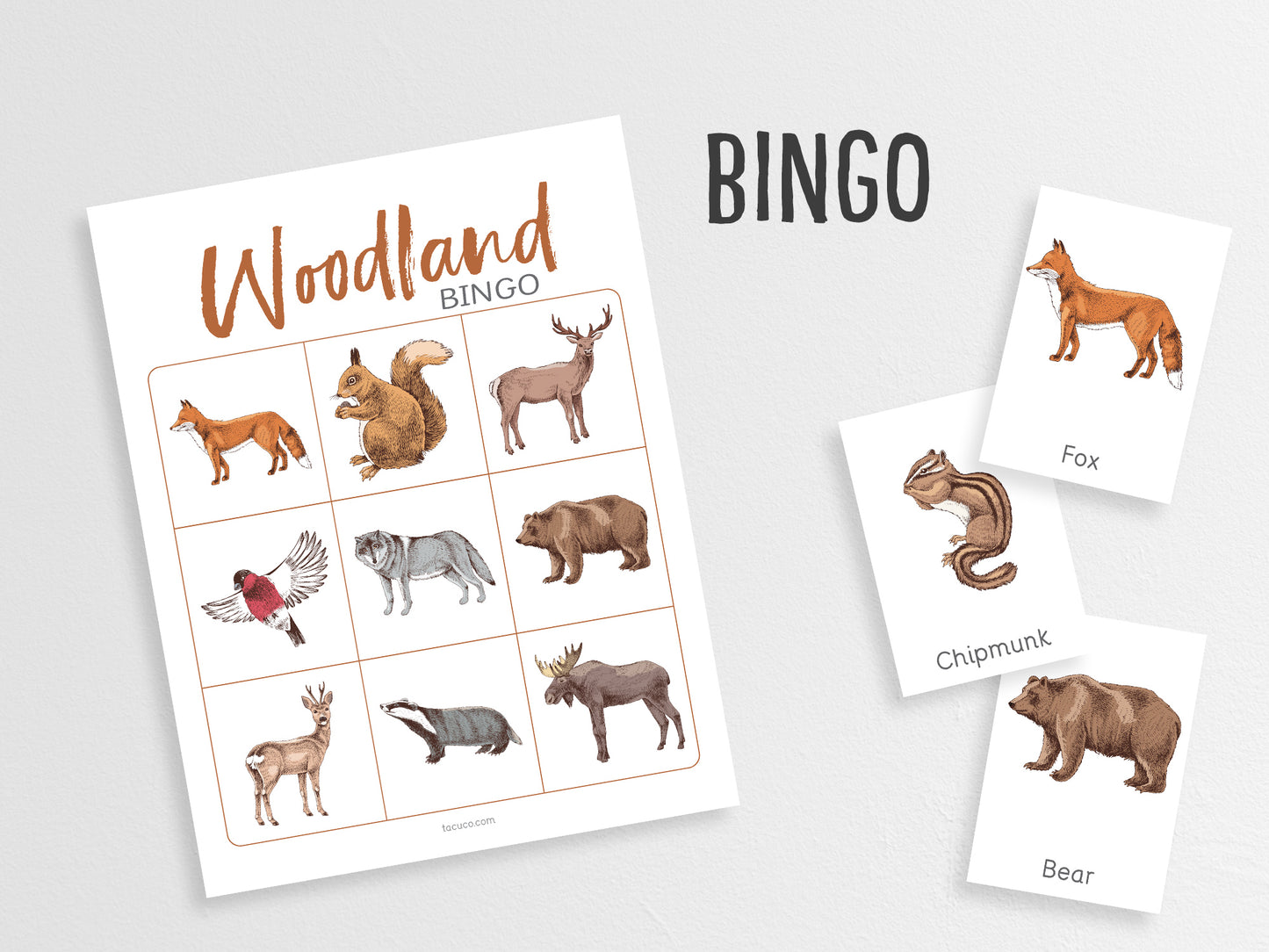 Woodland animals activity pack