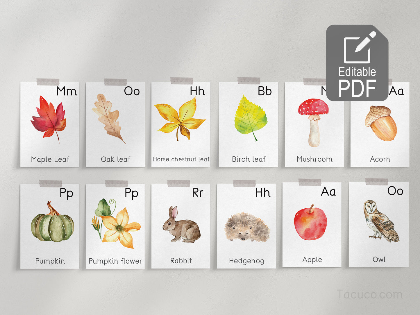 Autumn activity pack