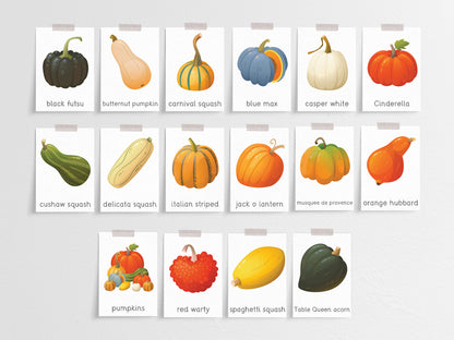 Pumpkins activity pack & the amazing world of pumpkins