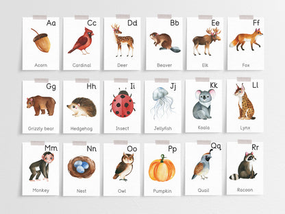 Nature alphabet cards Tacucokids
