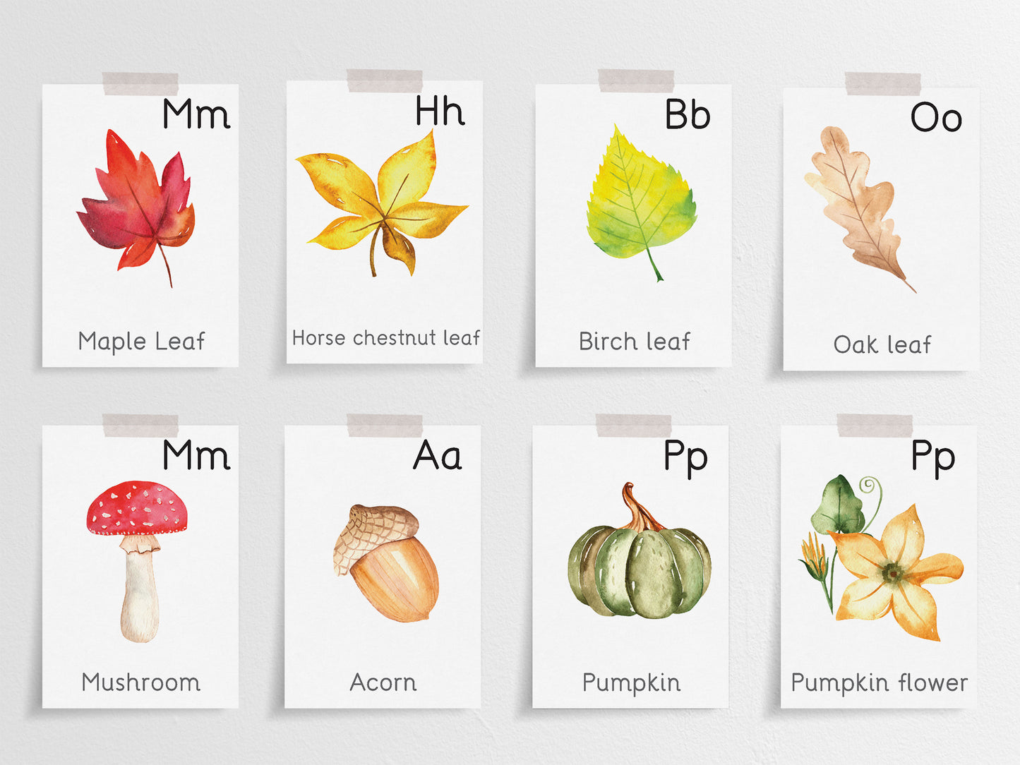 Flashcard for Autumn