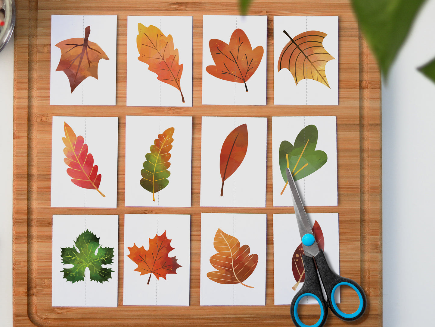 Matching Leaves