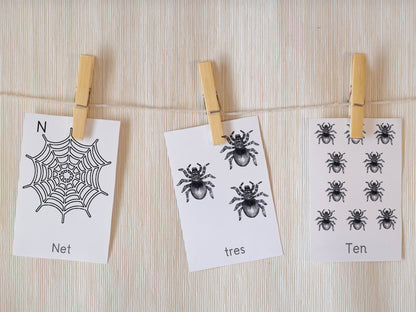 Spiders activity pack Tacucokids