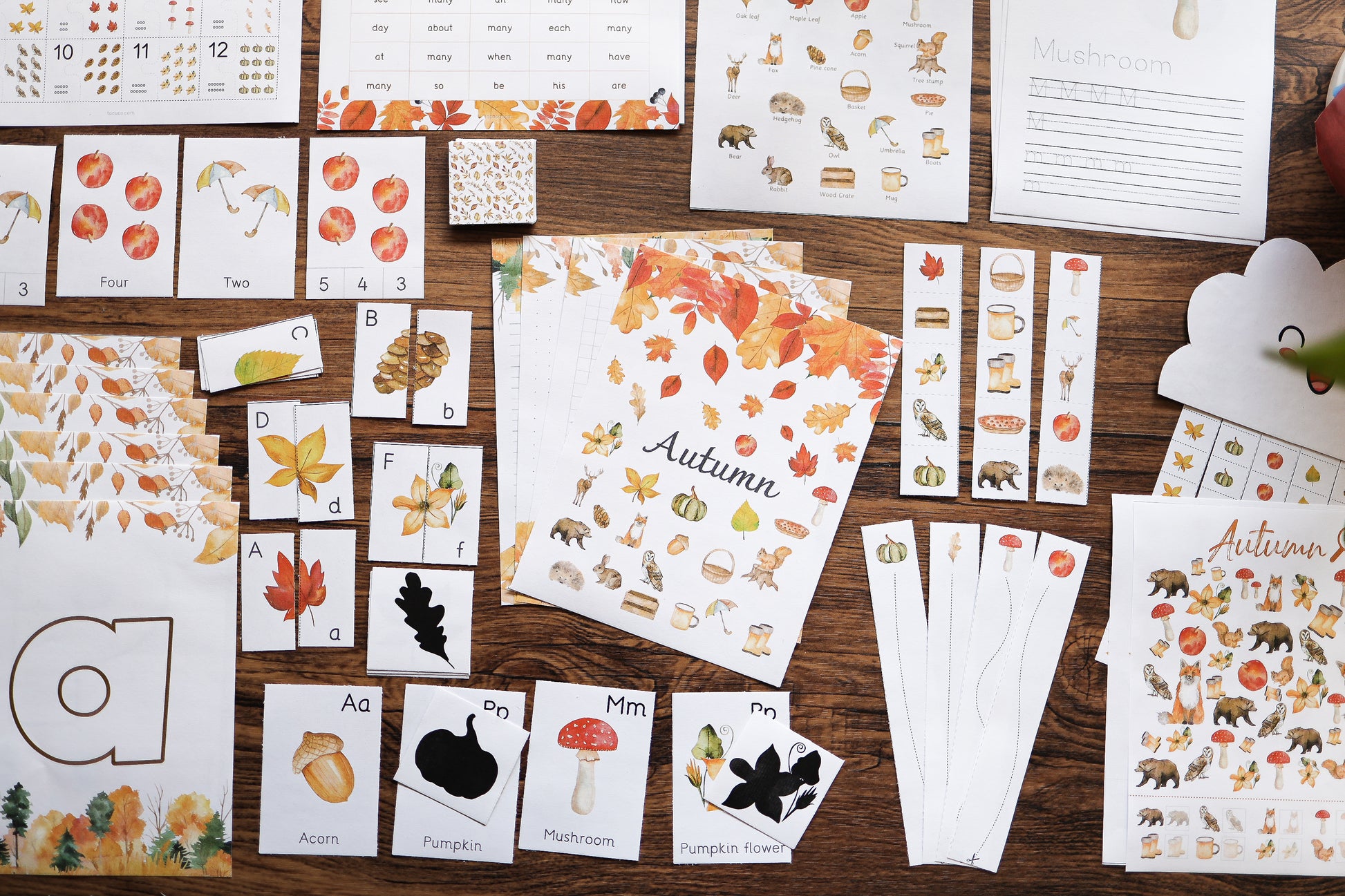 Autumn activity pack Tacucokids