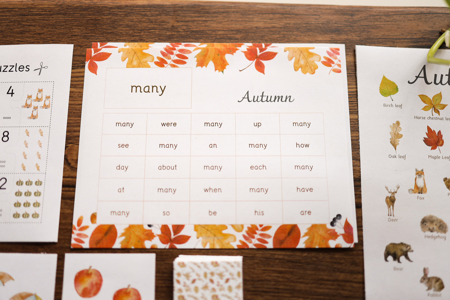 Autumn activity pack Tacucokids