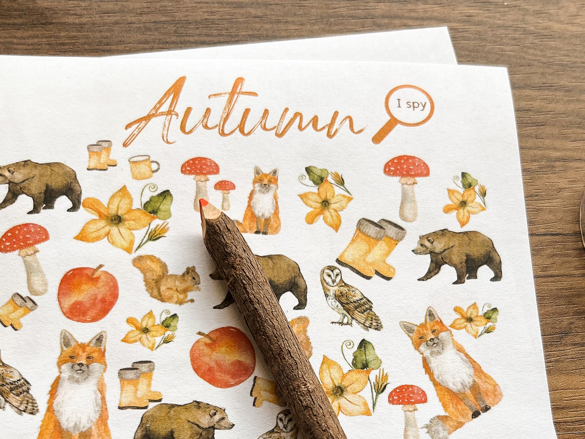 Autumn activity pack Tacucokids