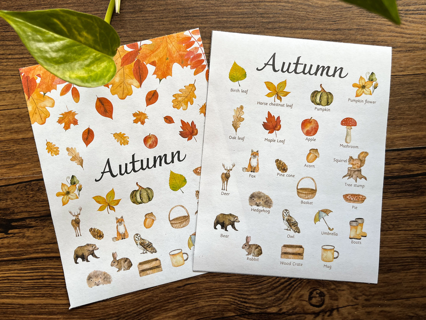 Autumn activity pack Tacucokids