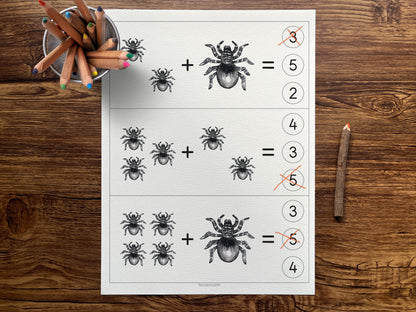 Spiders activity pack Tacucokids