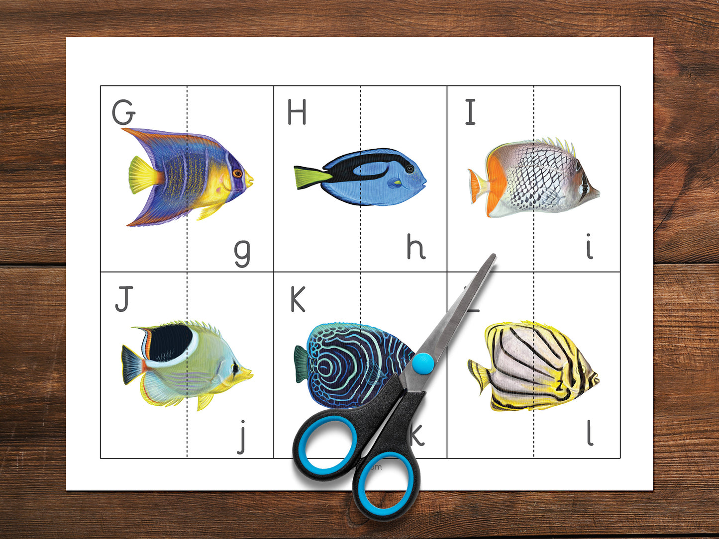 Tropical fish activity pack