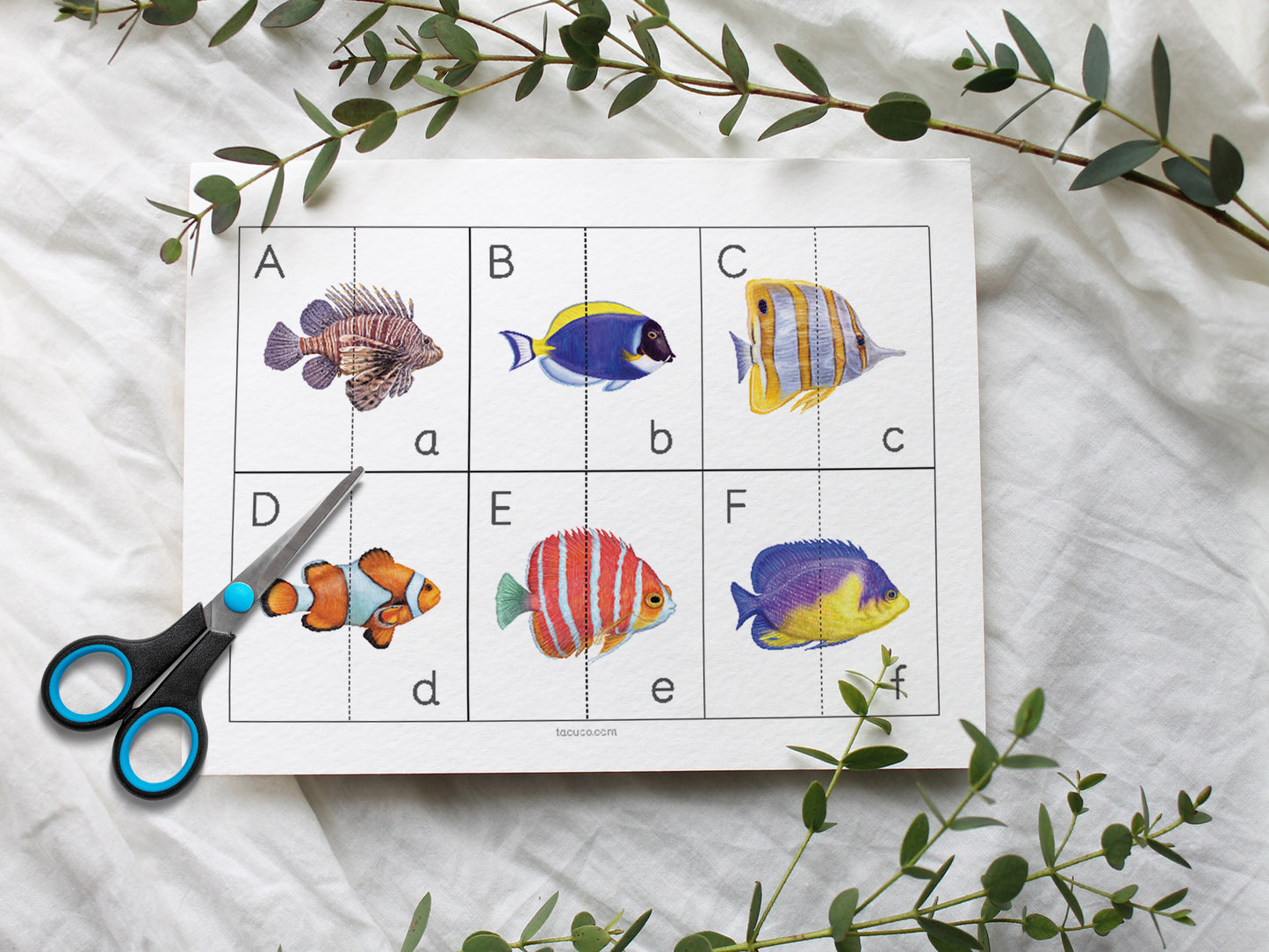 Tropical fish activity pack