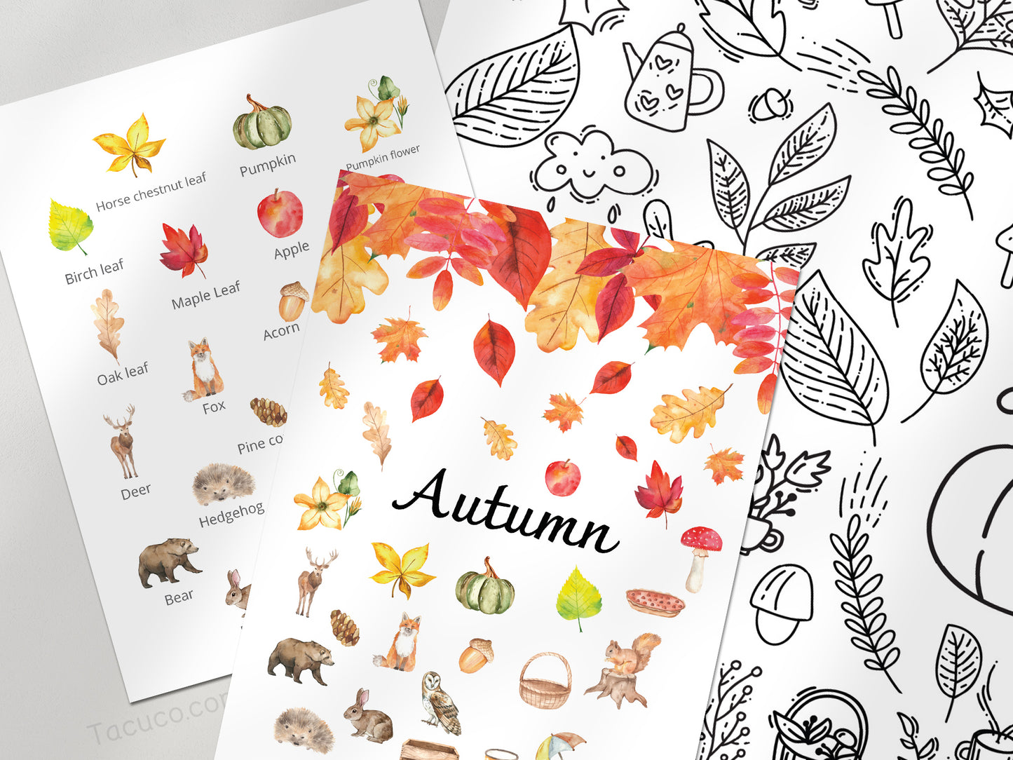 Autumn activity pack Tacucokids