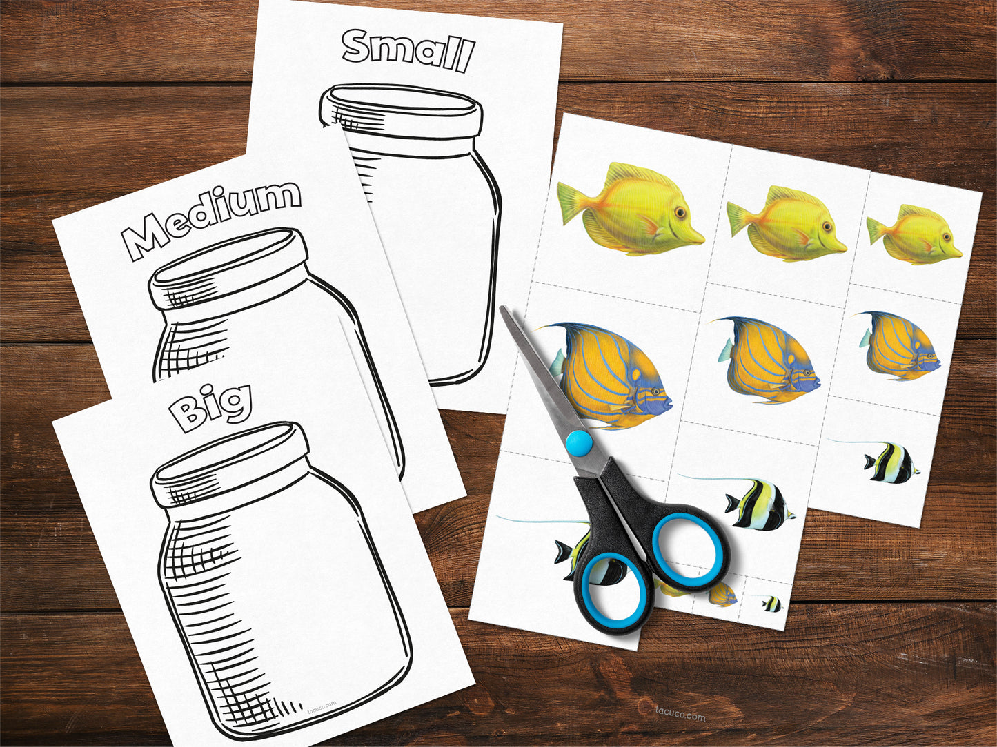 Tropical fish activity pack