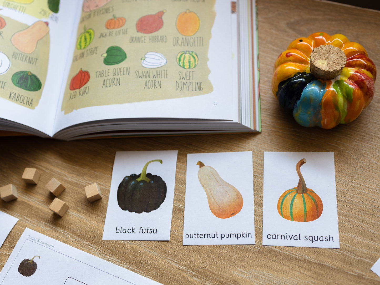 Flashcard for Autumn Tacucokids