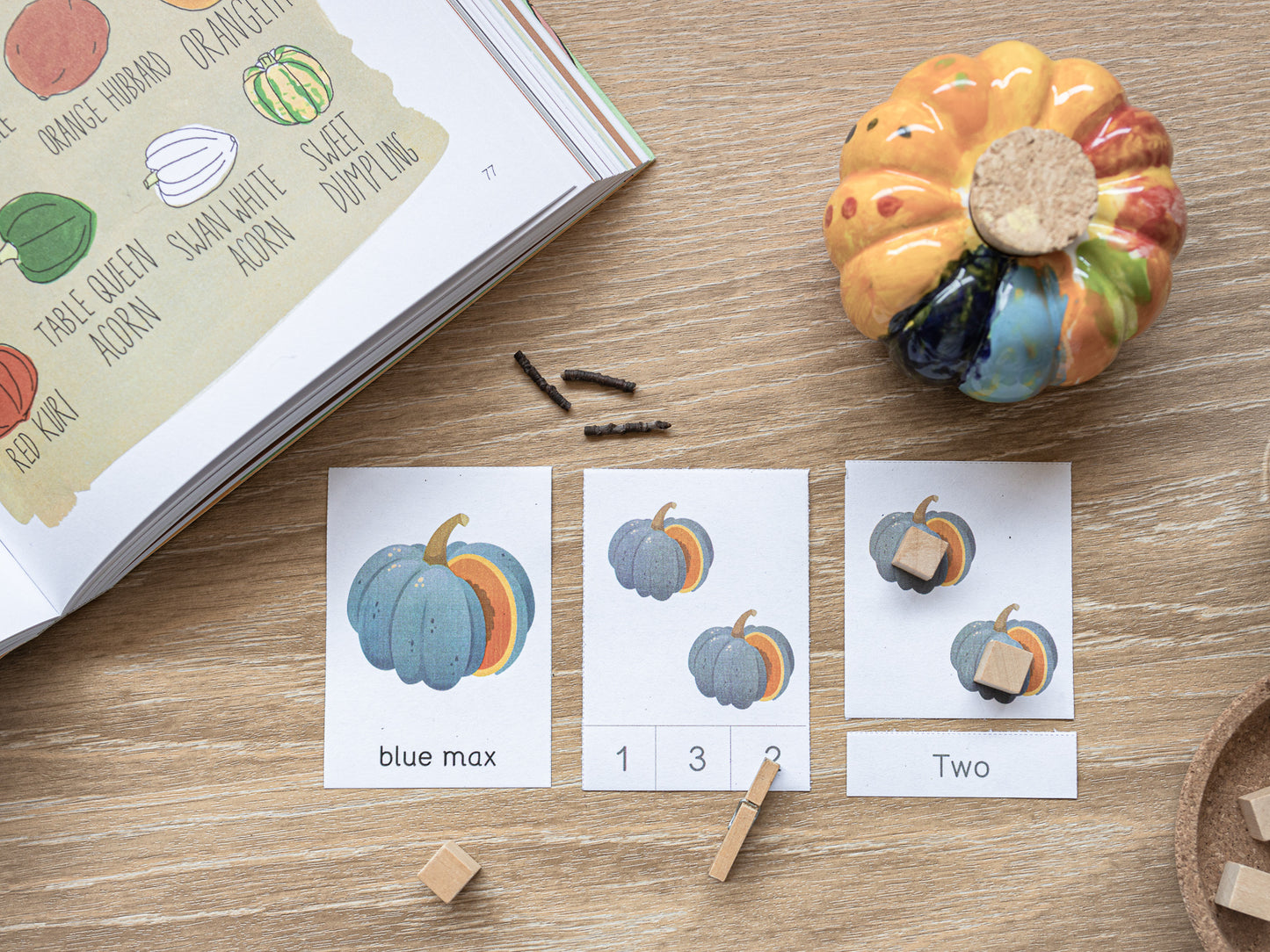 Pumpkin activity Pack Tacucokids