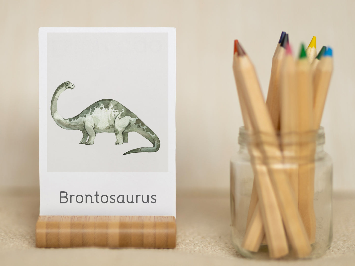 Dinosaur flashcards Tacucokids