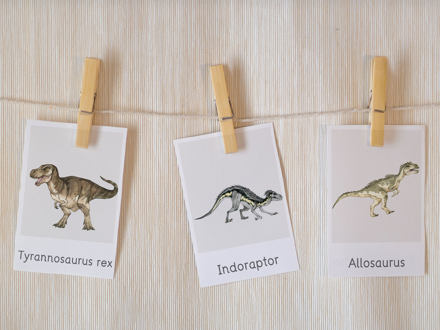 Dinosaur flashcards Tacucokids