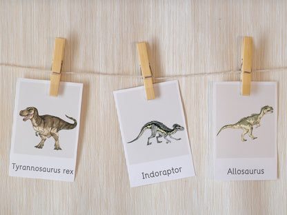 Dinosaur flashcards