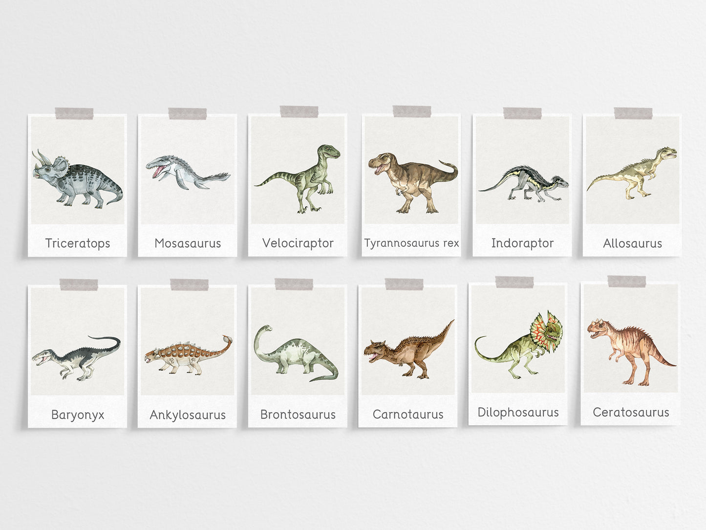 Dinosaur flashcards Tacucokids