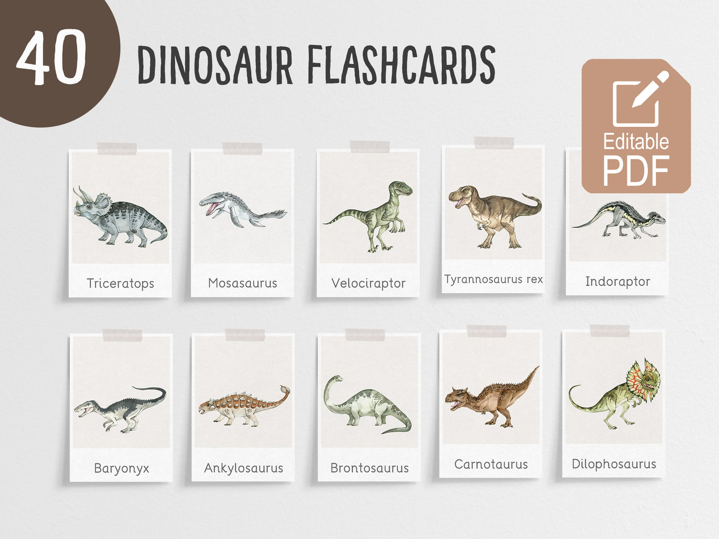 Dinosaur flashcards Tacucokids