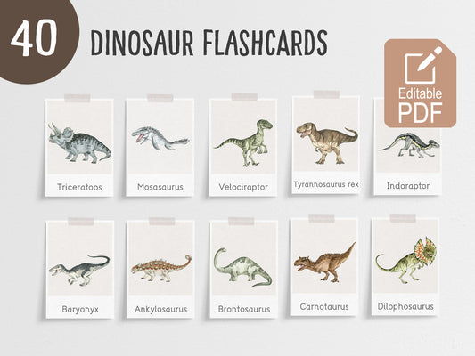Tarjetas didácticas de dinosaurios
