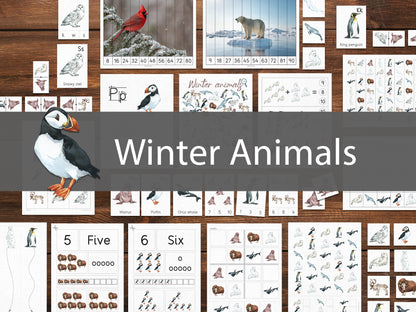 Paquete de actividades de animales de invierno
