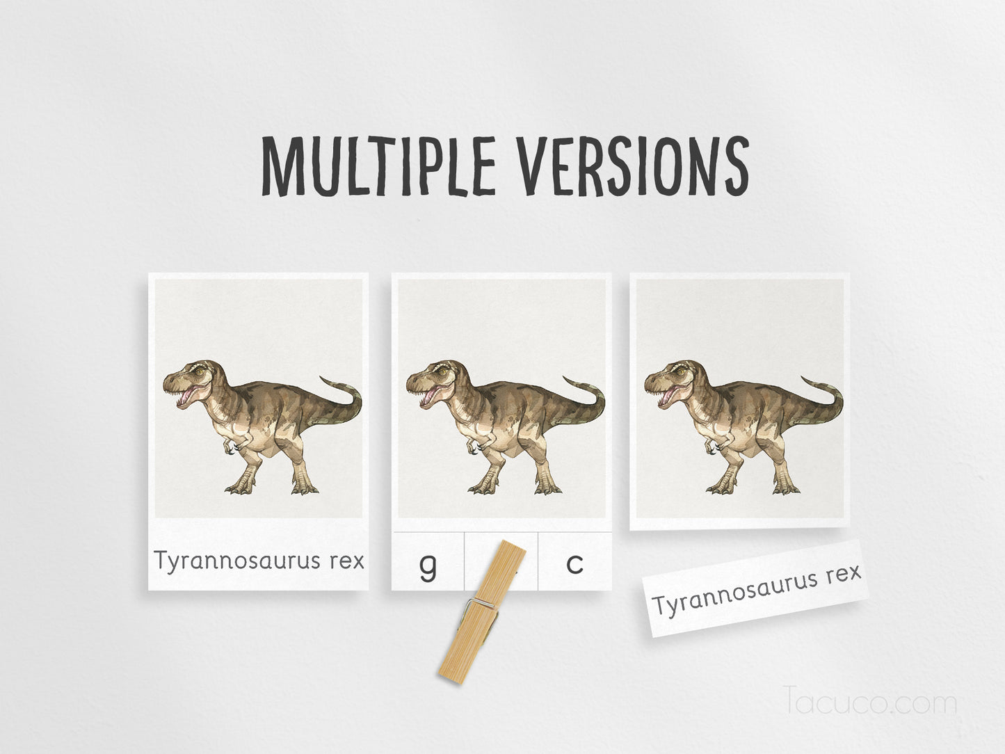 Dinosaur flashcards Tacucokids