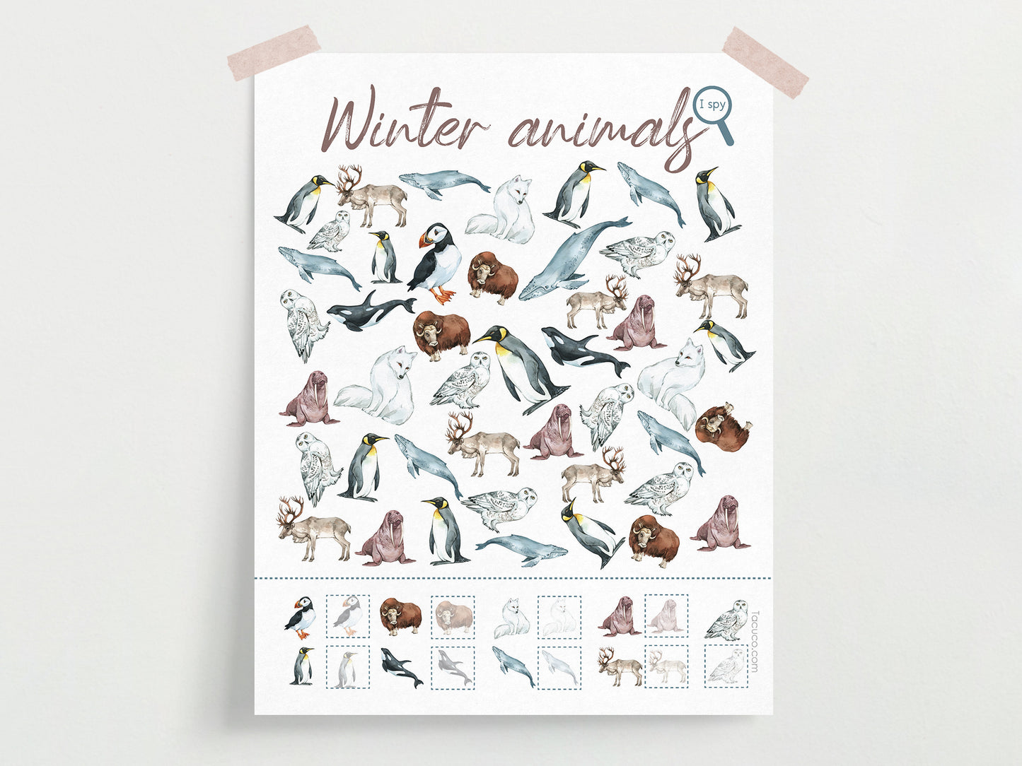 Winter animals activity pack Tacucokids