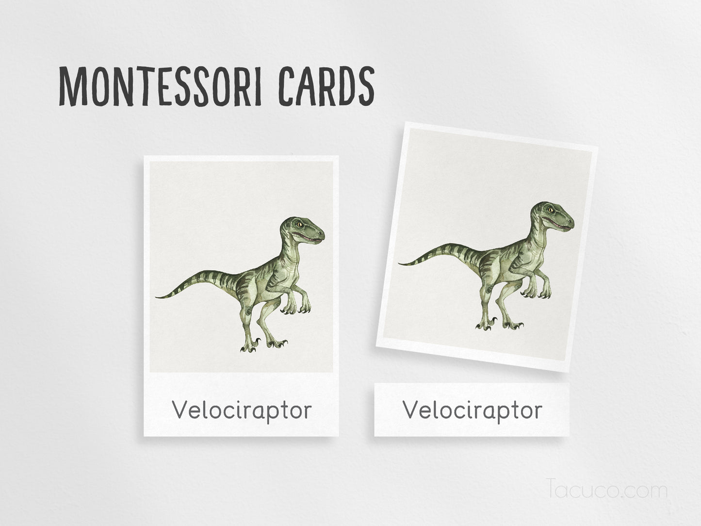 Dinosaur flashcards