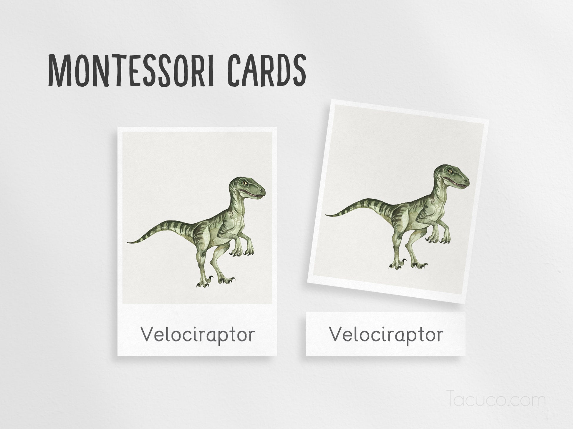 Dinosaur flashcards Tacucokids