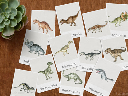 Dinosaur flashcards Tacucokids