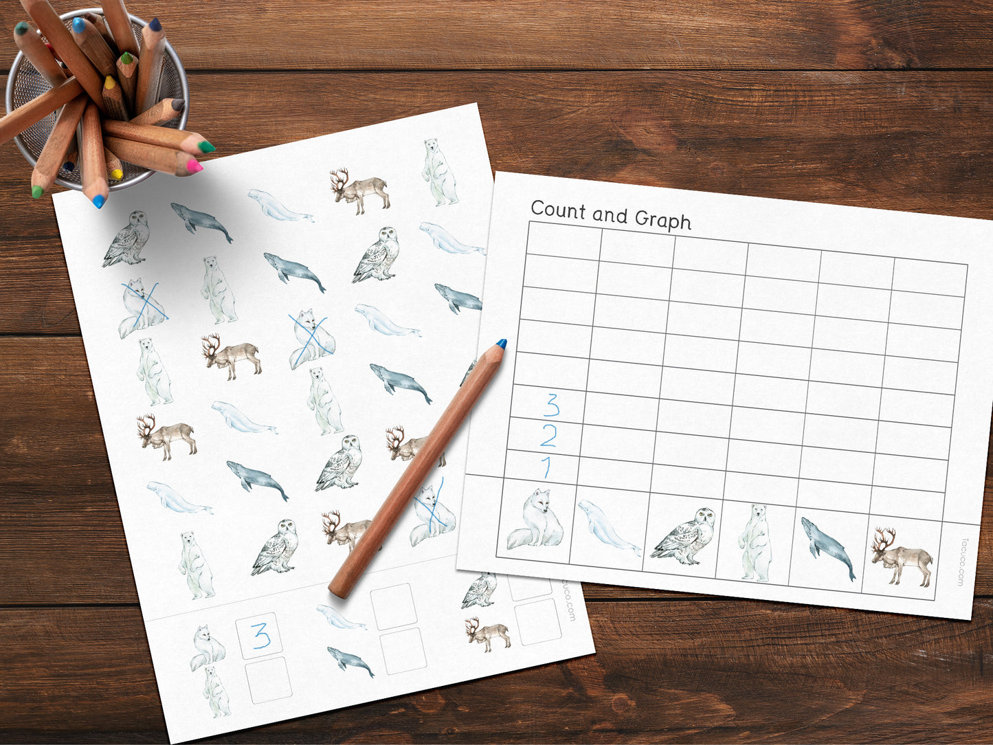 Winter animals activity pack Tacucokids