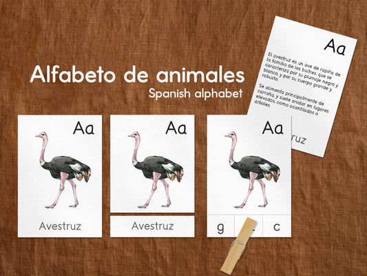 Spanish animal alphabet flashcards