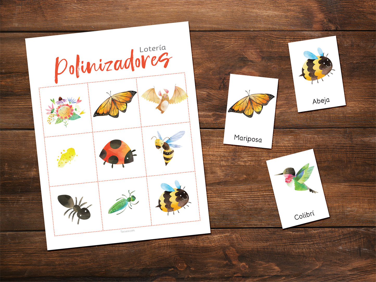 Pollinator mini pack - 2023 - SPANISH