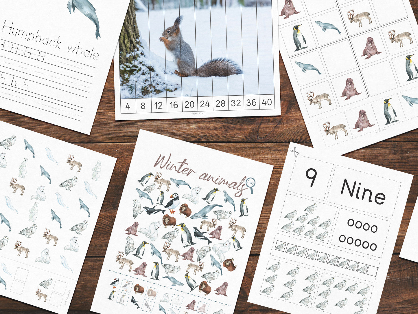 Winter animals activity pack Tacucokids