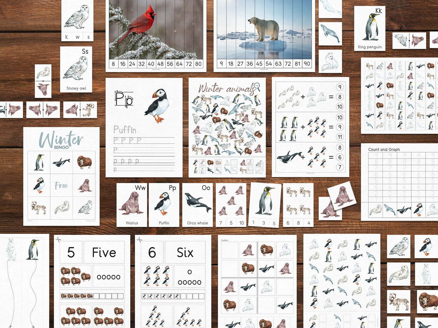 Winter animals activity pack Tacucokids