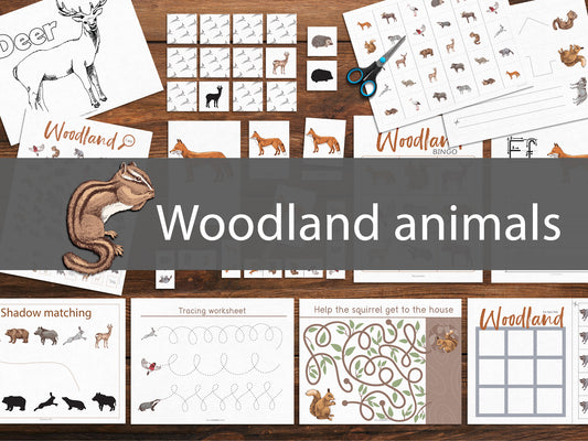 Woodland animals activity pack